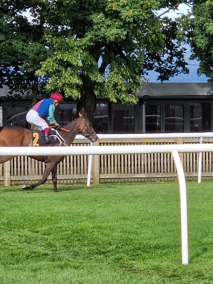 Horse and rider